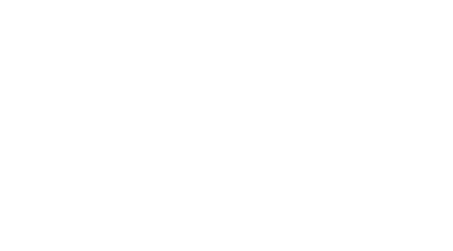 Logo tricera steel